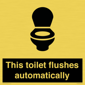This toilet flushes automatically